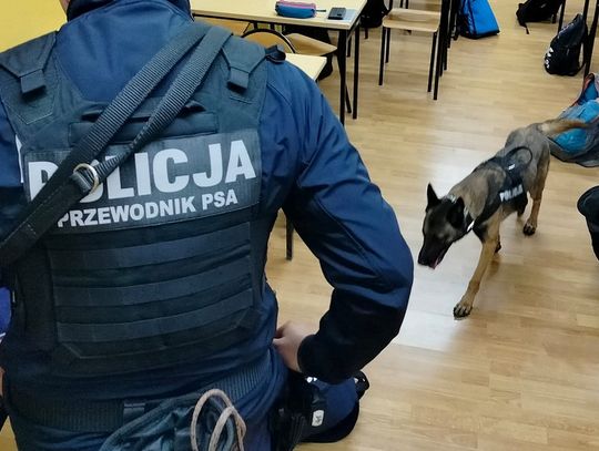 Narkotyki w plecakach nieletnich uczniów! Policjanci skontrolowali placówki na terenie powiatu starogardzkiego