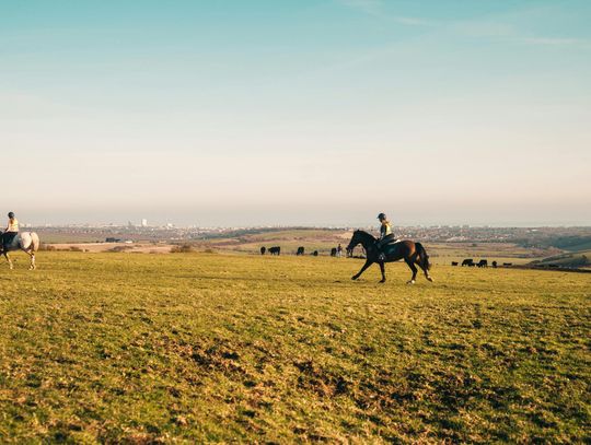Nauka jazdy konnej w woj. pomorskim – dlaczego warto wybrać Stajnię Iskra? Nauka jazdy konnej w woj. pomorskim – dlaczego warto wybrać Stajnię Iskra?