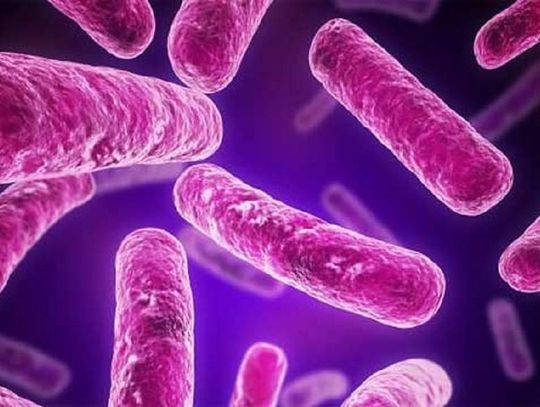 New Delhi atakuje i zabija. Bakteria jest odporna na leki