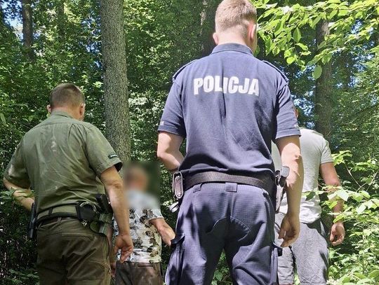 Nielegalnie wycinali drzewa w lesie. Zostali zatrzymani przez policjantów i strażników leśnych