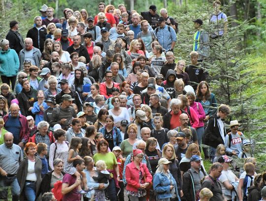 Noc w Muzeum - III Spacer z Opowieściami w Arboretum Wirty