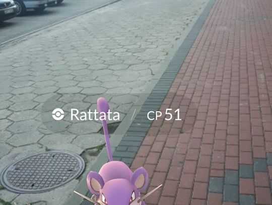 Nowa gra trafiła również do mieszkańców powiatu starogardzkiego. Zaślepiająca mania czy nowa forma ruchu?