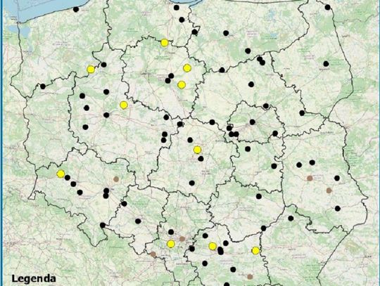 Od początku wakacji zginęło 81 osób! Policyjna mapa wypadków ze skutkiem śmiertelnym 