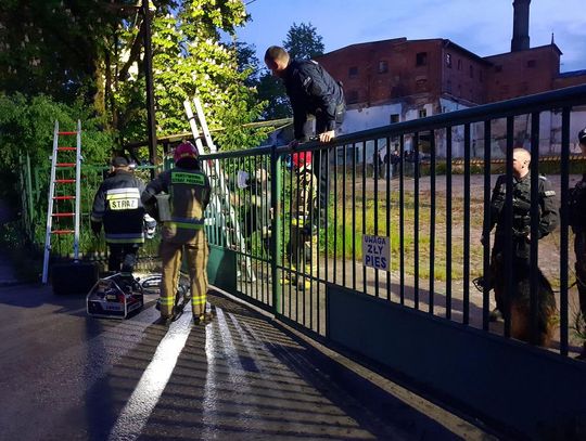 Od policyjnej obławy minęły 3 miesiące. Przestępca nadal nieuchwytny