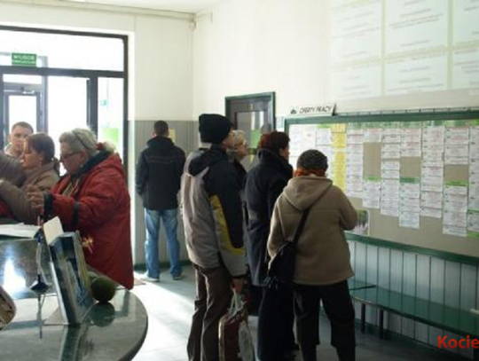 Oferty pracy w Powiatowy Urzędzie Pracy w Starogardzie Gdańskim