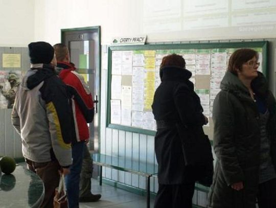 Oferty pracy w Powiatowym Urzędzie Pracy w Starogardzie Gdańskim