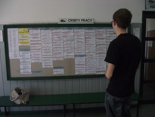 Oferty pracy w Powiatowym Urzędzie Pracy w Starogardzie Gdańskim