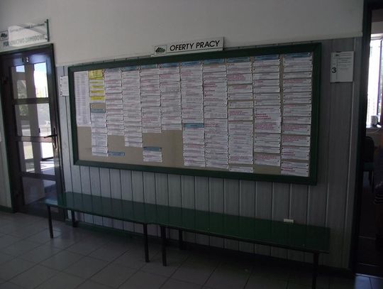 Oferty pracy zgłoszone do Powiatowego Urzędu Pracy w Starogardzie Gdańskim