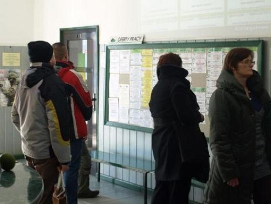 Oferty pracy zgłoszone do Powiatowego Urzędu Pracy w Starogardzie Gdańskim