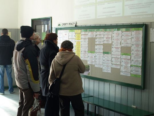 Oferty pracy zgłoszone do Powiatowego Urzędu Pracy w Starogardzie Gdańskim