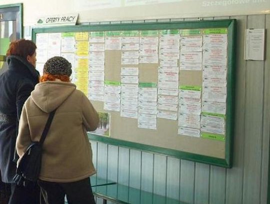 Oferty pracy zgłoszone do Powiatowego Urzędu Pracy w Starogardzie Gdańskim