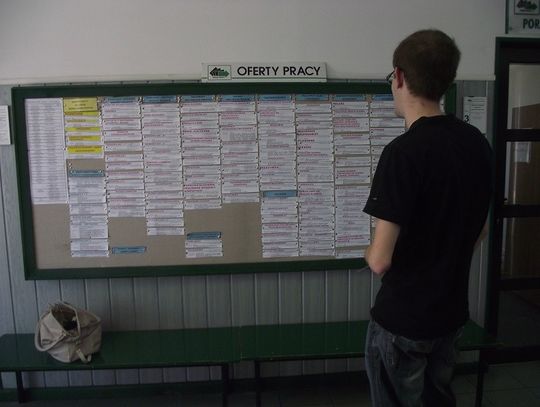 Oferty pracy zgłoszone do Powiatowego Urzędu Pracy w Starogardzie Gdańskim