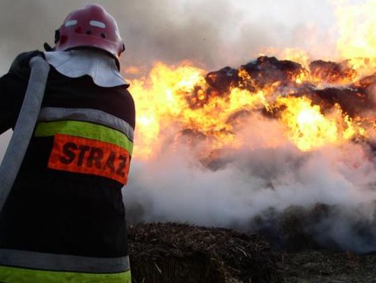 Ogień zajął ok. 2 ha zboża i słomy. Zagrożone były ogródki działkowe