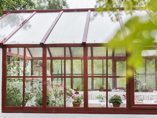 Oranżeria ogrodowa - jak stworzyć przestrzeń pełną zieleni przez cały rok?