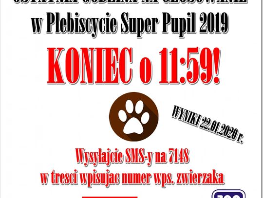 OSTATNIA GODZINA NA GŁOSOWANIE NA SUPER PUPILA!