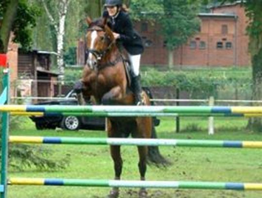 Pawilony są puste,  konie wyprowadzone. Co dalej ze Stadem Ogierów? 