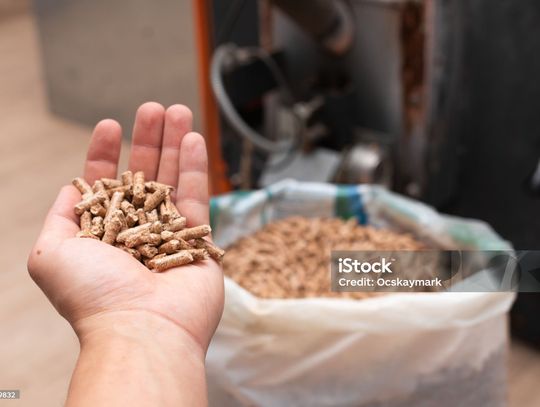 Pellet drogi i praktycznie nie do zdobycia. „Jak tylko się pojawi, znika od razu”