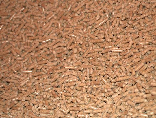 Piec na pellet – najlepsza decyzja w 2025 roku?