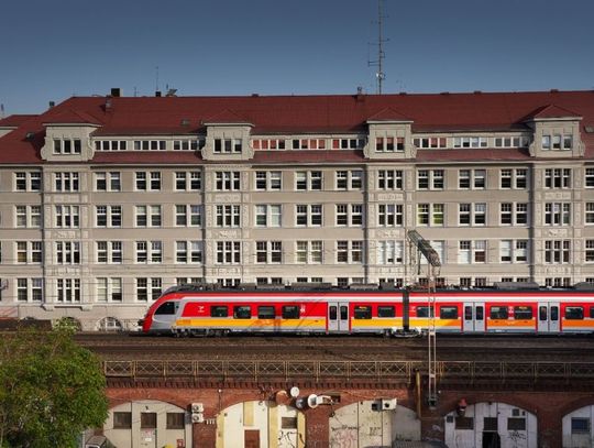 Pies i kot w podróży. Jak bezpiecznie i komfortowo przewozić swojego pupila pociągiem