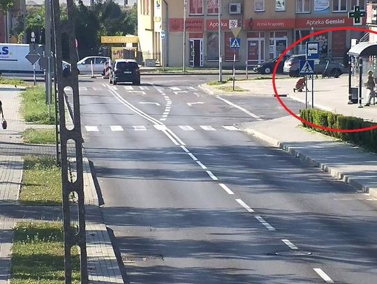 Pies pogryzł mężczyznę na przystanku w Tczewie. Policja szuka świadków tego zdarzenia 