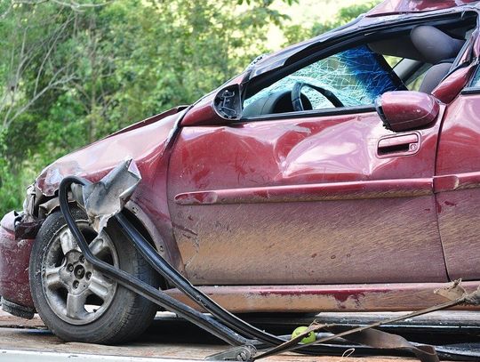 Pijana 19-latka rozbiła auto na drzewie. Zarzuty usłyszy, gdy... wytrzeźwieje 