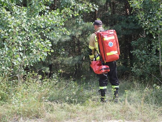 PILNE: Tragiczny wypadek podczas prac leśnych. Mężczyzna przygnieciony przez drzewo 