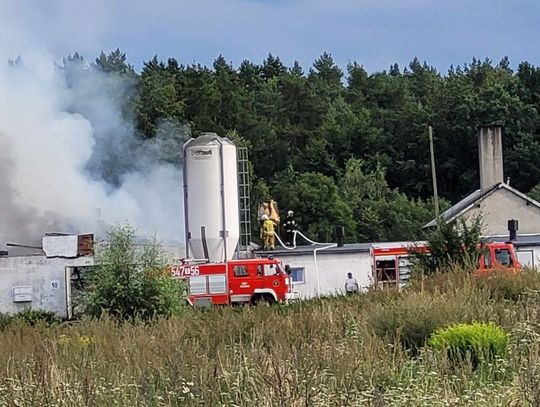 Płonie budynek gospodarski w Kulicach. Z ogniem walczy 11 zastępów straży pożarnej