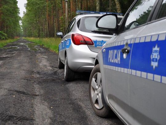 Policjanci i leśnicy apeluj: szukając grzybów, nie zgub drogi do domu