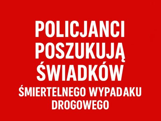 Policjanci poszukują świadków śmiertelnego wypadku drogowego