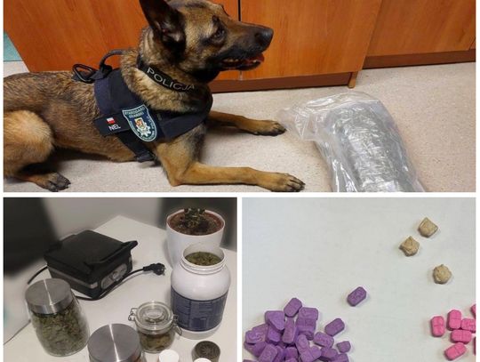 Policjanci przejęli blisko 1,5 kilograma narkotyków i zatrzymali dwóch 23-latków