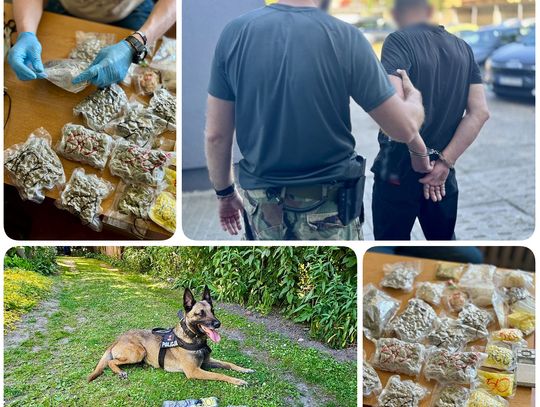 Policjanci z Tczewa przechwycili blisko 7 000 porcji narkotyków