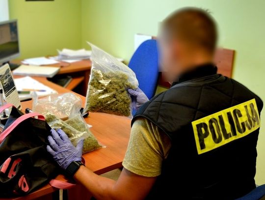 Policjanci zabezpieczyli ponad 0,5 kg narkotyków. Zatrzymali dwóch mężczyzn