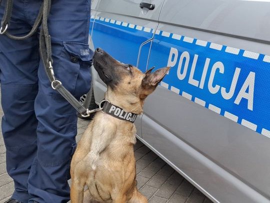 Policjanci zatrzymali kierowcę pod wpływem narkotyków z dożywotnim zakazem