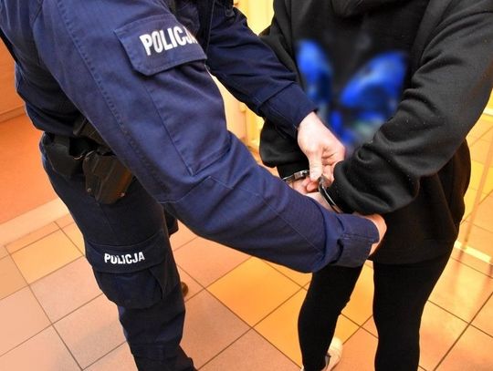 Policjanci zatrzymali parę, która okradała piwnice