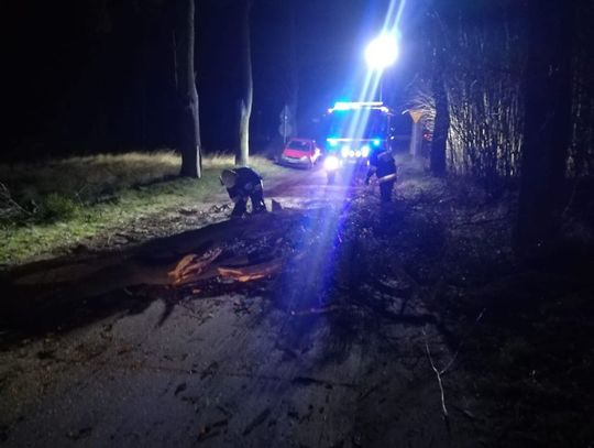 Pożar wiaty gospodarczej, samochodu i połamane drzewa