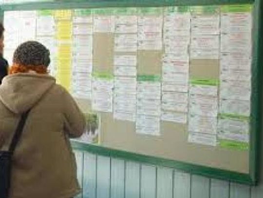 Praca czeka! Oferty z Powiatowego Urzędu Pracy w Starogardzie Gd.