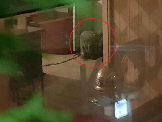 Prezydent nie dotrzymał słowa! Jedna z parkowych figur znajduje się w prywatnych rękach 