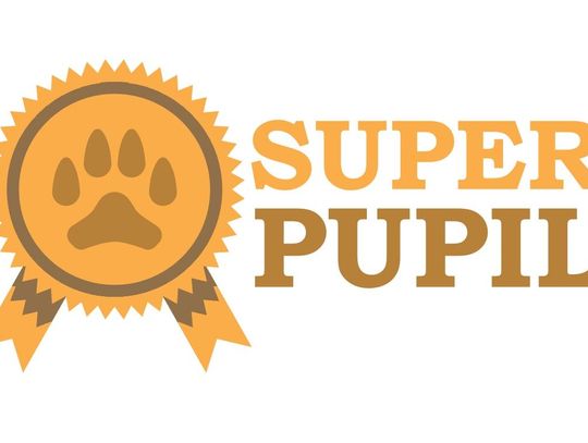 PRZEDSTAWIAMY WAM ZAKWALIFIKOWANYCH UCZESTNIKÓW. Rusza głosowanie na Super Pupila!