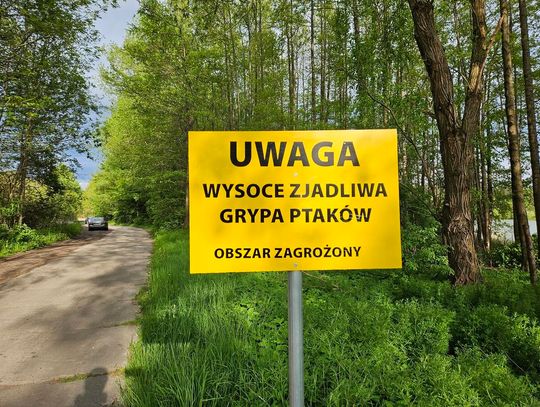PRZYPOMINAMY: W Bolesławowie wybito ponad 13 tysięcy indyków. To pierwsze takie ognisko na Pomorzu w 2025 roku!