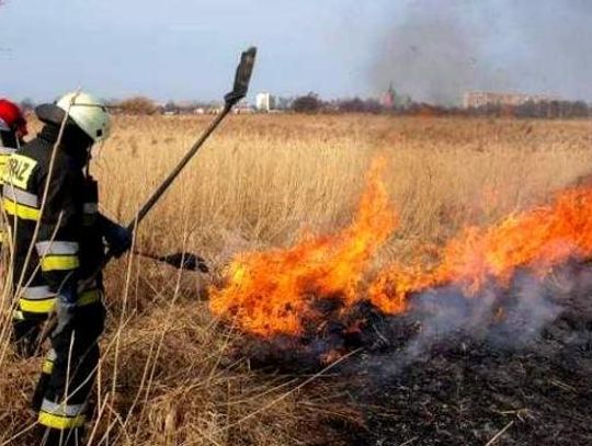 Sąsiedzi rozpalają śmierdzące ogniska. Zanim podpalisz, zastanów się czy nie narazisz życia innych