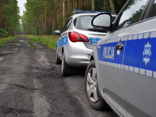 Sezon na grzyby rozpoczęty! Policjanci przypominają o zasadach bezpieczeństwa w lasach