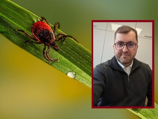Sezon na kleszcze bez paniki