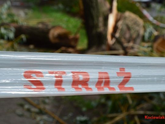 Silny wiatr nadciąga nad region. IMGW wydał ostrzeżenie Silny wiatr nadciąga nad region. IMGW wydał ostrzeżenie