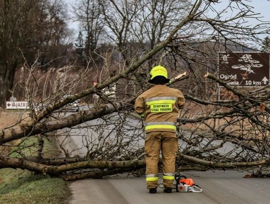 Silny wiatr nie ustaje. Do godziny 10 straż odnotowała 35 zdarzeń 