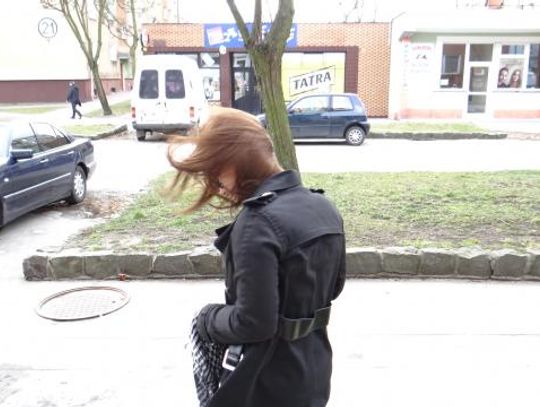 Silny wiatr w całym powiecie starogardzkim. Strażacy interweniowali ponad 30 razy