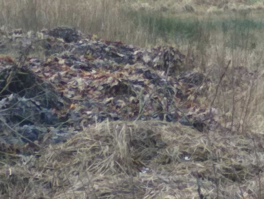 Śmieci z cmentarza trafiły na pole Kto wydał na to zgodę? 