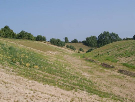 Śmietnisko zrekultywowane. Przywrócili teren naturze