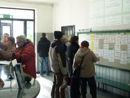 Sprawdź, na jakie szkolenia możesz się zapisać w Powiatowym Urzędzie Pracy!