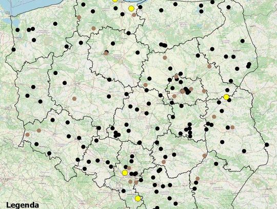 Średnio na drogach ginie 5 osób dziennie. Od początku wakacji doszło już do 136 wypadków ze skutkiem śmiertelnym