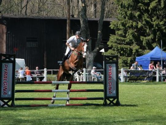 Stado do likwidacji?! Co dalej ze starogardzkim Stadem Ogierów? 